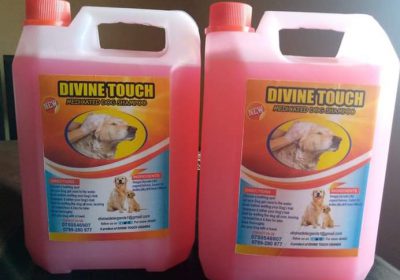 Divine touch medicated dog shampoo