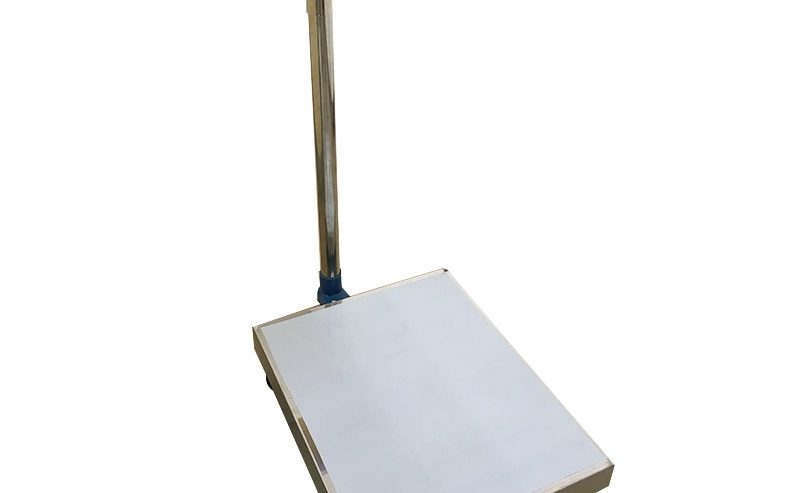 Electronic platform digital weighing scale with railing