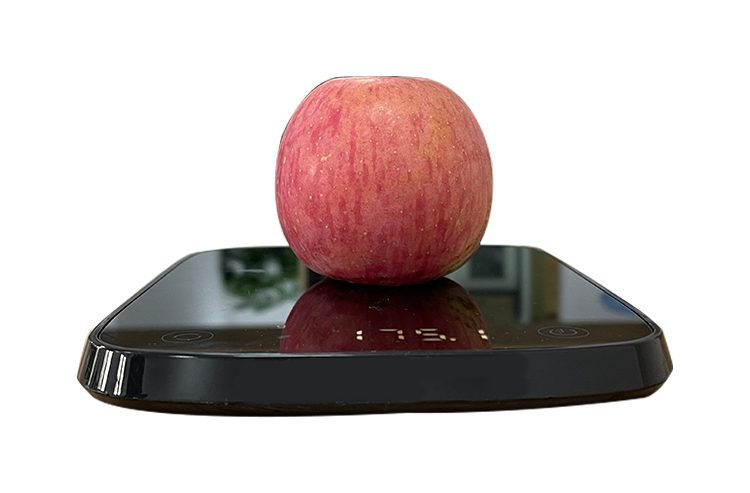 Square 30kg digital market commercial table top weighing scale