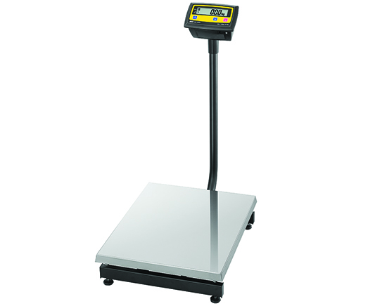 Weigh beam scale to weigh cattle