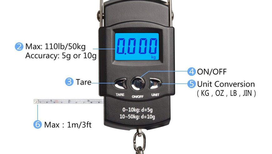Travel hanging scale