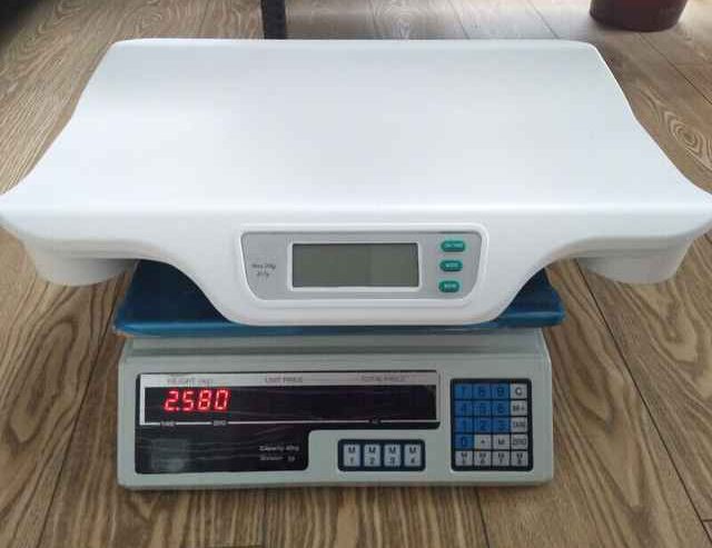 Household Plastic Kitchen Weighing Scales