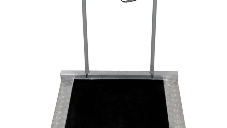 500kg Tcs Electronic Platform Scale/bench Floor Weighing Scale