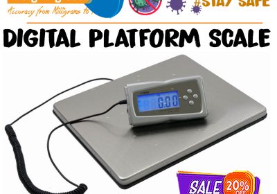digital-platform-scaes1-1