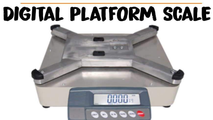 digital-platform-scales-33