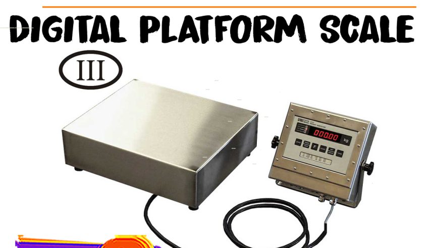 digital-platform-scales19