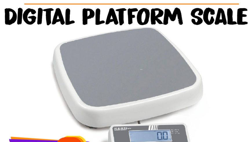 Reliable floor heavy duty scales with in and out ramps
