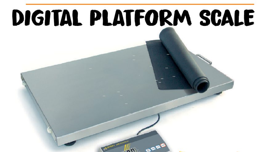 digital-platform-scales9