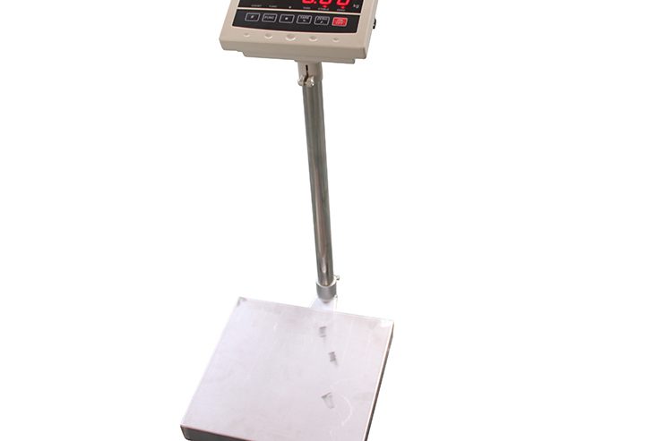 Label Printing Platform Weighing Scale
