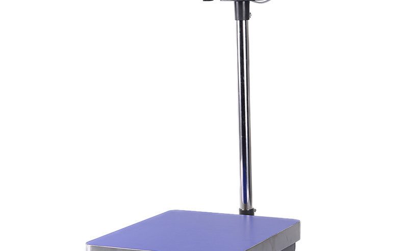Platform Weighing Scales for Food Industries
