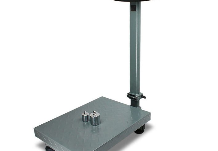 30*40cm 200kg 110-240V LED Weight Unit Kg European Standard Platform Scale