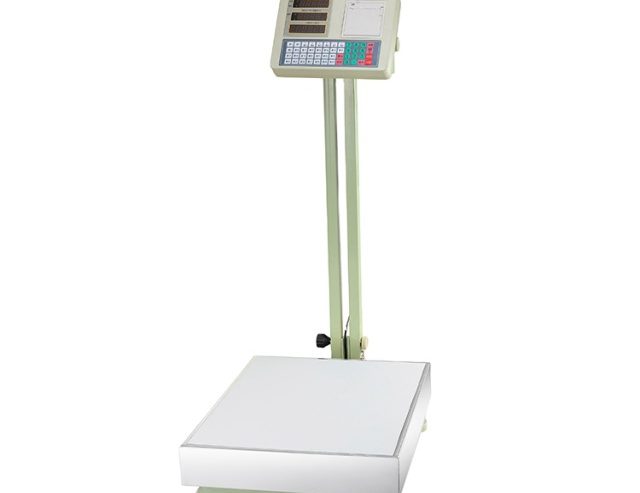 Hot Sale Good Price Digital Counting Electronic Weighing Indicator Balance Scale