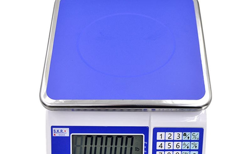 Household Kitchen Electronic Digital Scale