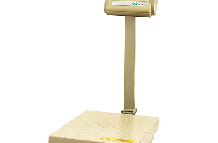 Digital Price Display Weight Platform Scale