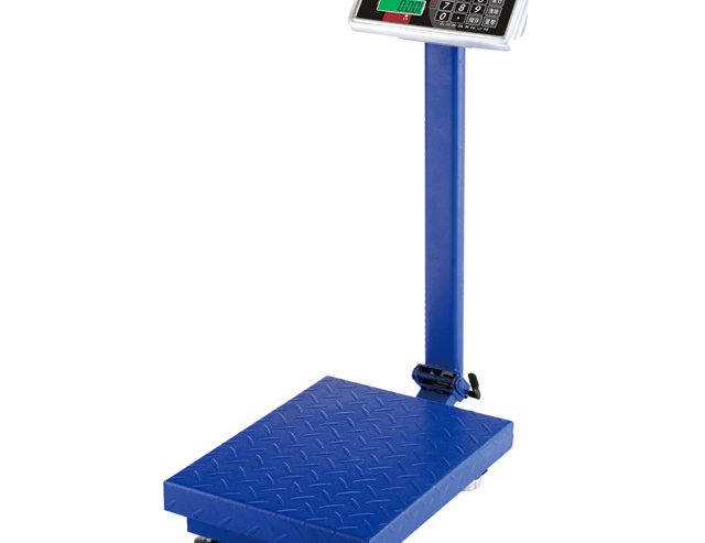 100kg High Quality Fruit Vegetable Weighing Electronic Price Scale with guardrail