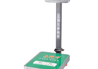Weighing Machine Electronic Industrial Platform Scale 100Kg