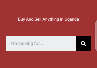 Website Designer in Uganda