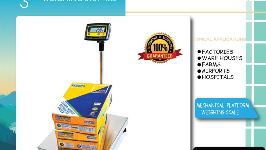 Rechargeable Balanza Industrial Portable Digital Weighing Scales Manufacturer