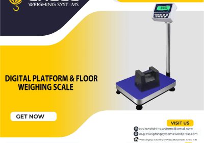 Stainless Steel Digital Electronic scales